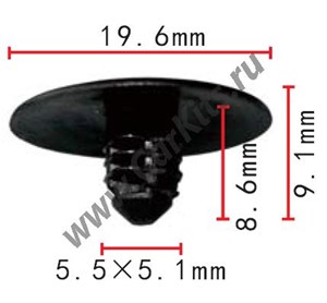 Изображение C503